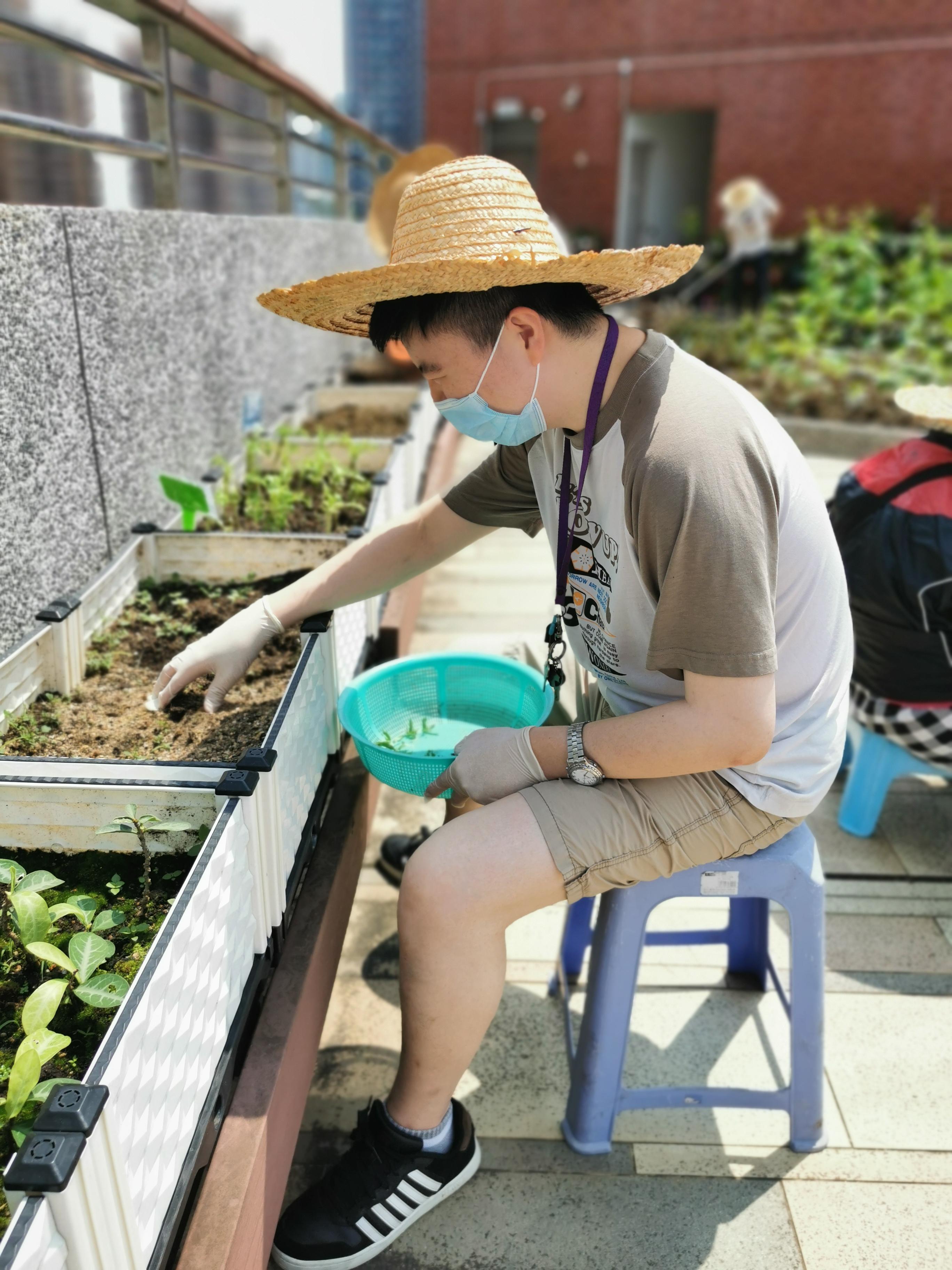 舍友在单位的天台农埸学习种植